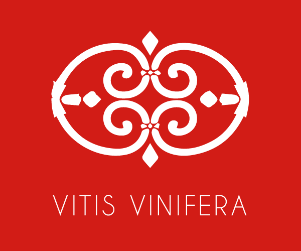 VITIS VINIFERA VITIS VINIFERA